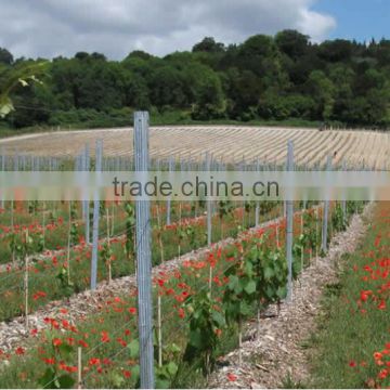 Factory supply low price of steel vine post