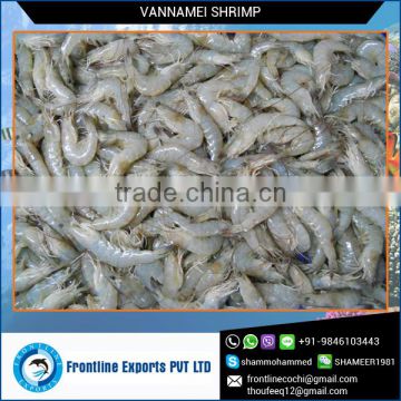 Long Shelf Life Superior Quality Frozen Vannamei Shrimps