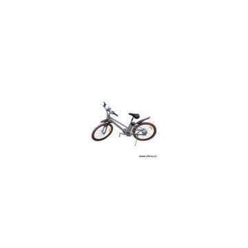 Sell Electric Bicycle