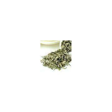 High Grade Chinese Bi Luo Chun Green Tea , Organic Loose Leaf Green Tea