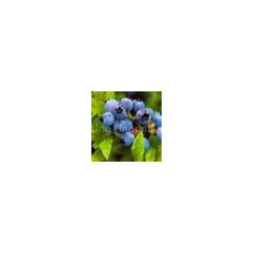 Blueberry anthocyanin (Email: sales2@lgberry.com.cn)