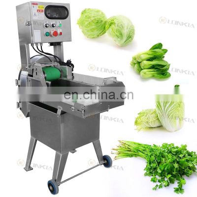 LONKIA 304SS single-head multifunctional vegetable fruit cutting machine with conveyor belt