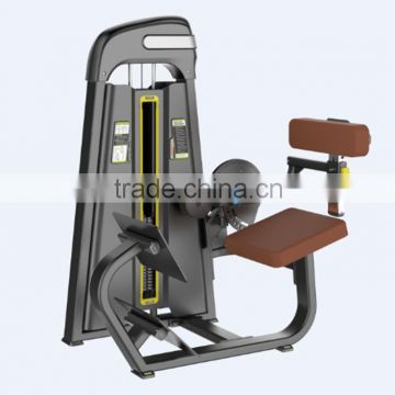 muscle building machine , body building apparatus back extension
