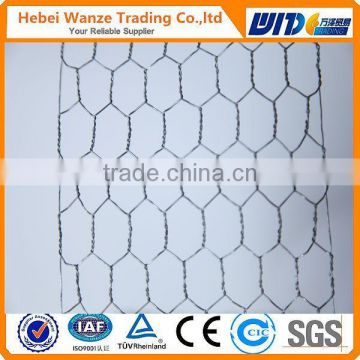 High Quality Galvanized Hexagonal Wire / Chicken Wire
