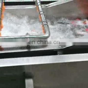 CE Approved Small Size Automatic Bubble Ozone Fruit and Vegetable Washer Machine Malaysia