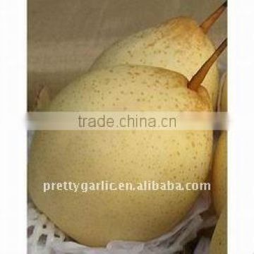Golden pear 2011 crop