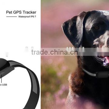 Most popular gps collar for cat,animal gps tracking