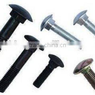 made in china high quality din603 carriage bolt