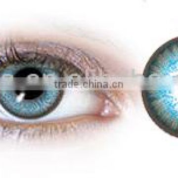NEO N25 eyewear cosmetic korea wholesale natural look color contact lens