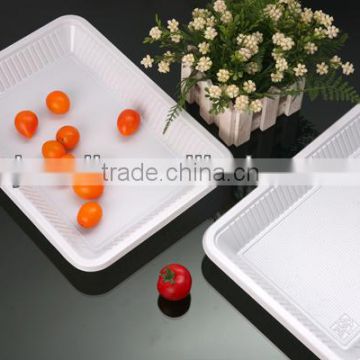 12 inch plastic plate,rectangular plastic plate