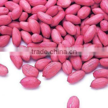 Chinese red skin raw peanut kernels (50/60)