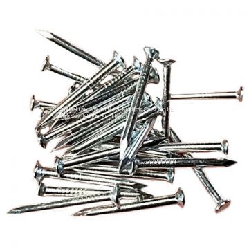 High Hard Galvanized Steel Nails Made in China