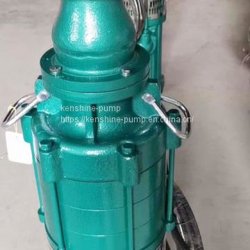 QS Submersible centrifugal pump with water filled motor