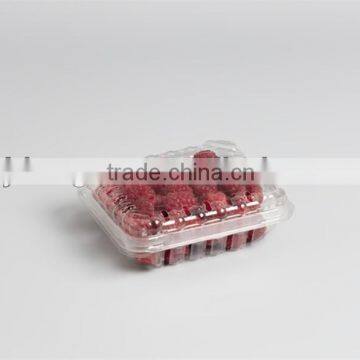 Clear fruit box.plastic fruit container.plastic square fruit box .factory direct plastic fruit box.eco-friendly plastic box