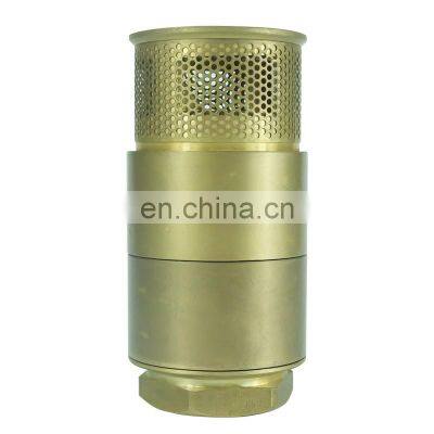 DKV 1/2-4 Inch China Manufacture FXF PN20 Brass Vertical Spring Price 2 Two Way Water Check Valve