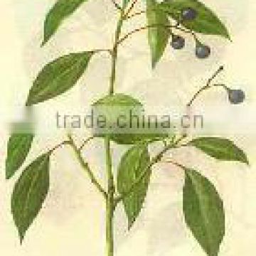 factory offer high natural purity plant extract borneol CAS#: 127-91-3