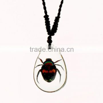 New wholesale fashion lovely necklace with real insect