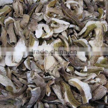 Top Quality of Dried Porcini mushroom