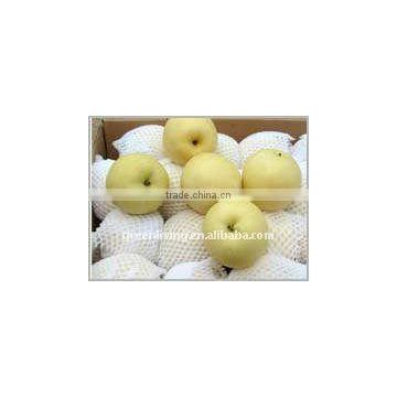 2014 fresh golden apple from china