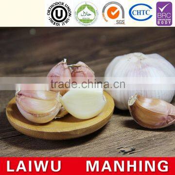 China Normal white fresh garlic for hot selling
