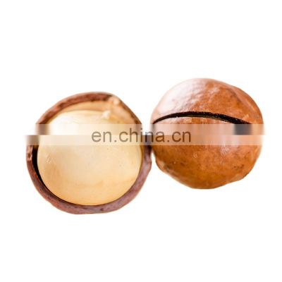 Hot Sell Raw organic Macadamia nuts with shell and Without shell raw macadamia nut in shell
