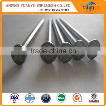 factory on hot sale manufacturer common wire iron nail/common nail