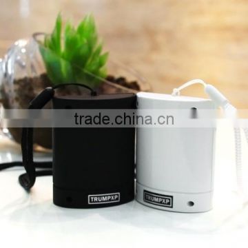 Necklace personal anion air purifier