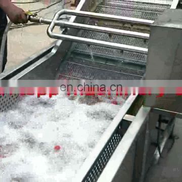 hot sale industrial fruit washing and drying machine for sale