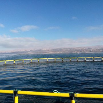 Aquaculture Cage System Floating Cage Wind And Wave Resistance