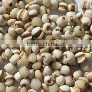 organic pearl barley