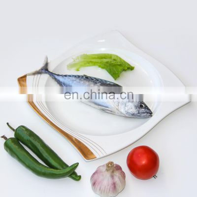china frozen bullet tuna fish frigate tuna frozen bullet mackerel frigate mackerel