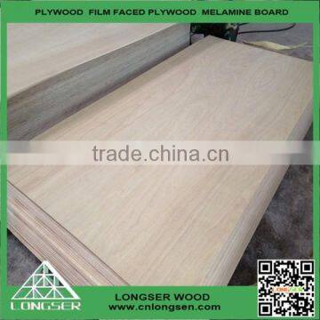 BBCC grade 920x1840mm massawa door skin / door size plywood price