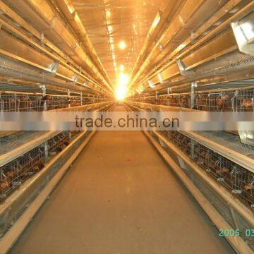 poultry farm for hens