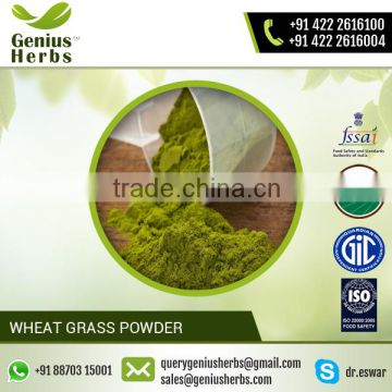Optimum Grade Organic Wheat Grass Powder for Bulk Purchase by Reliable Dealer