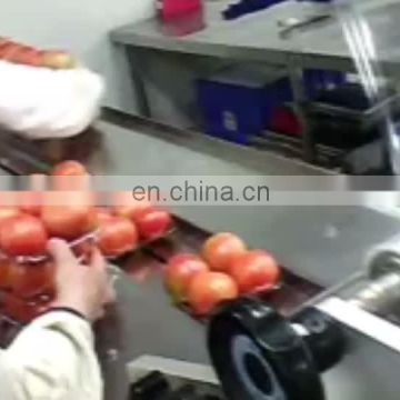 Chinese factory automatic horizontal tortillas pillow bag packaging machine
