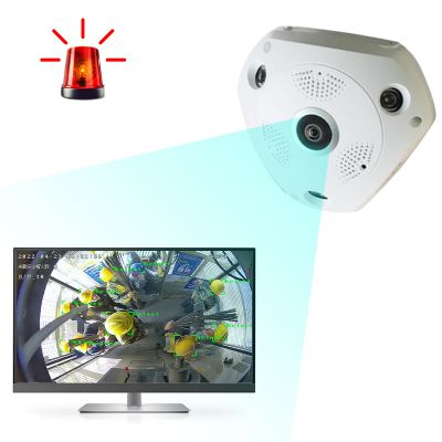 ai Number of people identification fisheye camera security cameras wireless outdoor