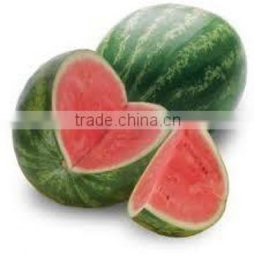 GOOD QUALITY Fresh Watermelon