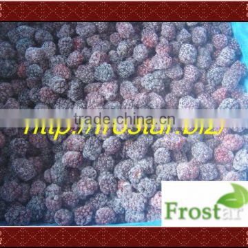 2013 Fresh Frozen balckberries