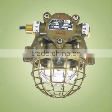 explosion-proof ceiling light