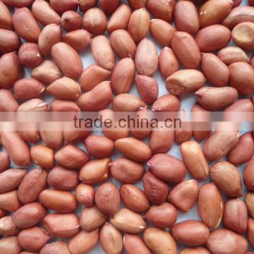 Silihong red skin peanut kernels