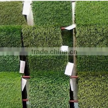 turf grass for residential landscaping