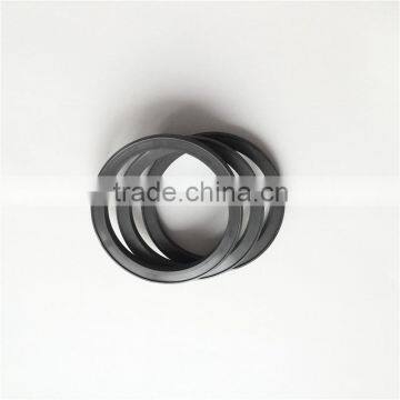 Silicon nitride ceramic ring for sealing