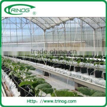 EU model multi span plastic tunnel greenhouse