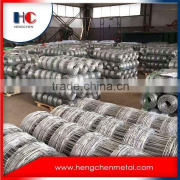 High quality guaranteed multifunctional firm structure galvanized glassland mesh