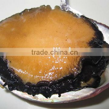fresh live abalone for sale