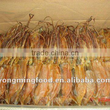 Dried squid whole