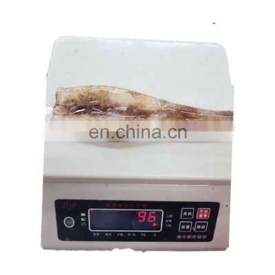 Wholesale bulk packing frozen squid tube with skin