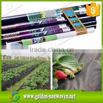 100% Biodegradable Floating Row Covers Offer nonwoven Plant Protection