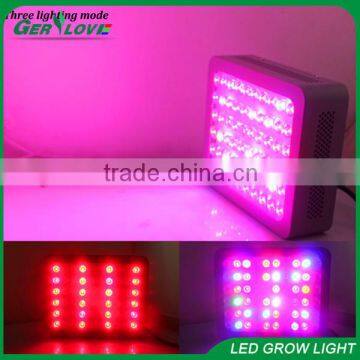 Led 3000 watt grow light hydroponic system full spectrum grow light 300w