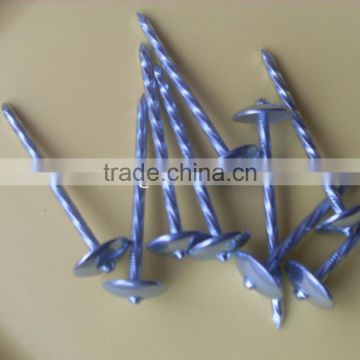 iron electric galvanized roofing nails packing in carton